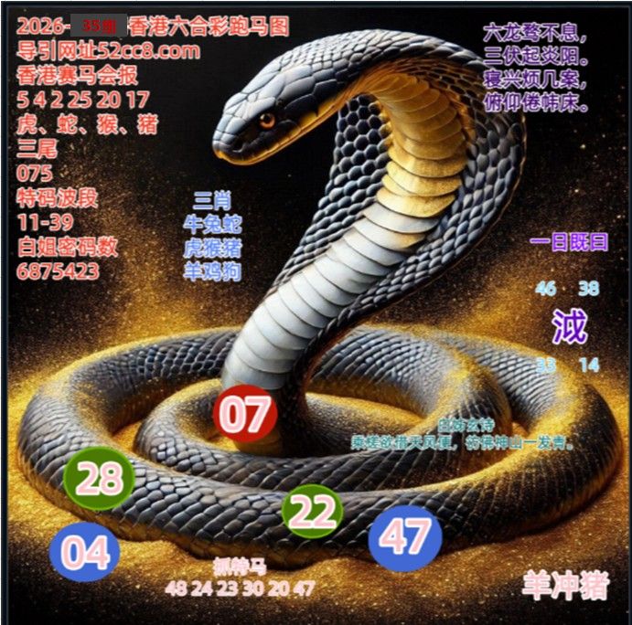 香港六合035期