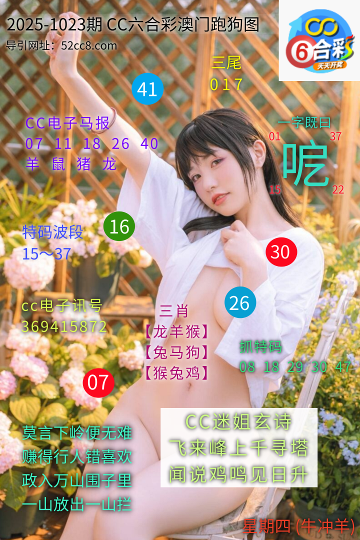 CC六合澳门跑马图1023期