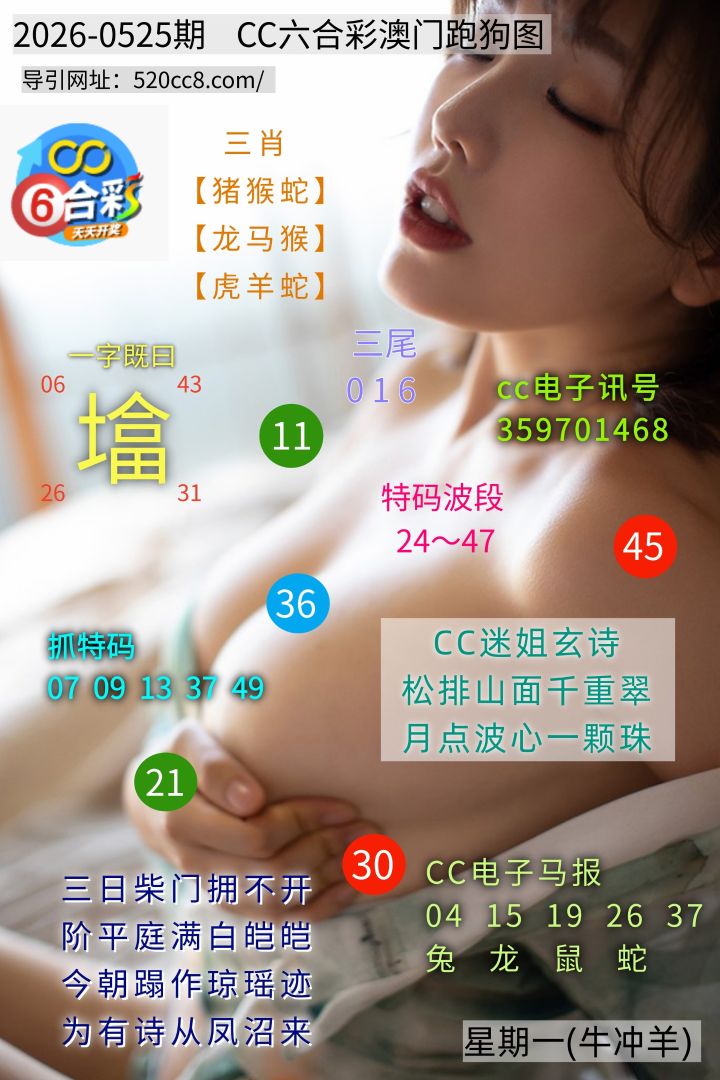 CC六合澳门跑马图0525期